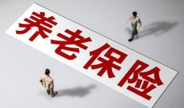 国产做a爰片久久毛片,探索“久久毛片”背后的故事与魅力