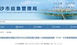 国产做a爰片久久毛片,探索“久久毛片”背后的故事与魅力