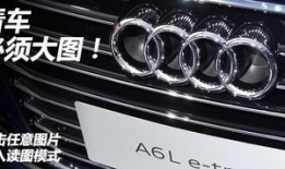 e国产永久,探索中国电子产业的无限可能